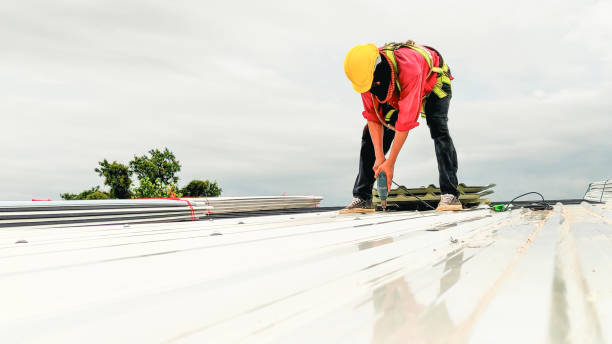 Best Roof Maintenance and Cleaning  in Orange Blossom, CA