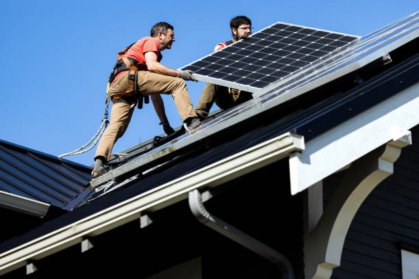 Best Roof Moss and Algae Removal  in Orange Blossom, CA